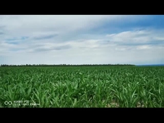 スマート電動リニアアクチュエーター